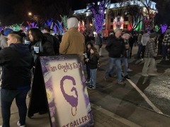 <p>Our new revised sign stood out among the enormous crowd and courthouse lights!</p>
