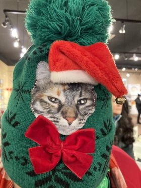 <p>Meow!</p>